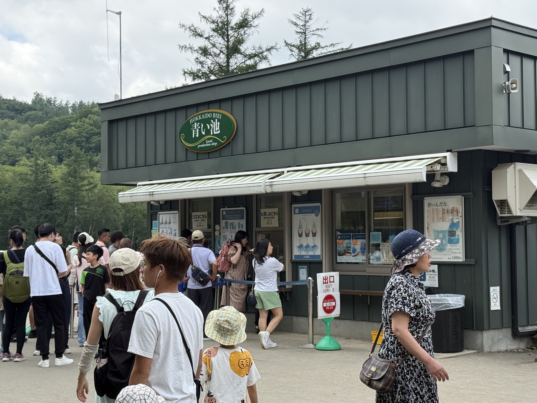 青い池の別角度の景色。日差しを受けて水面がきらめき、立ち枯れた木のシルエットが浮かぶ