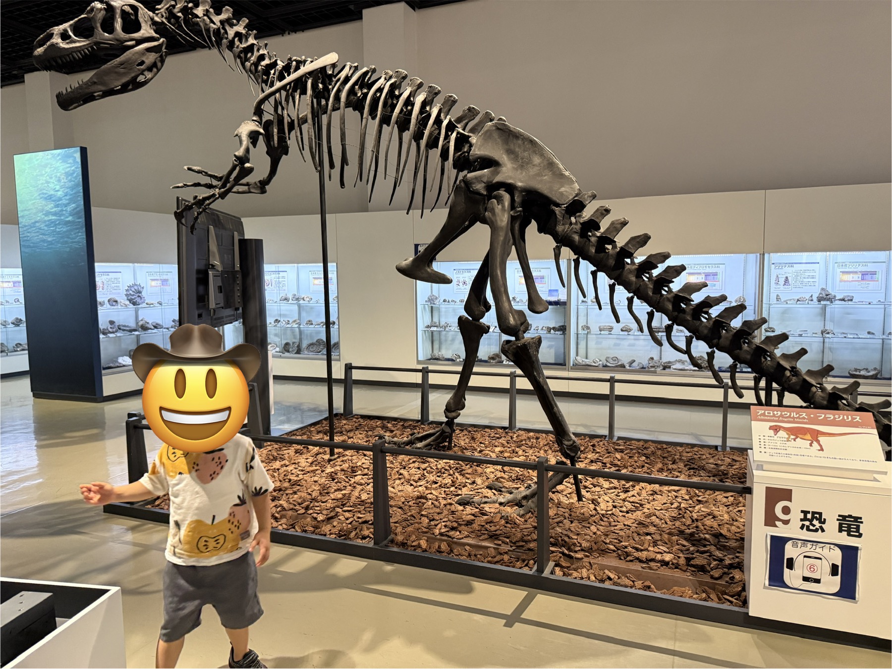 展示室の恐竜骨格標本。大型恐竜の全身骨格レプリカの前で子供が比べるように立っている（顔は加工済み）