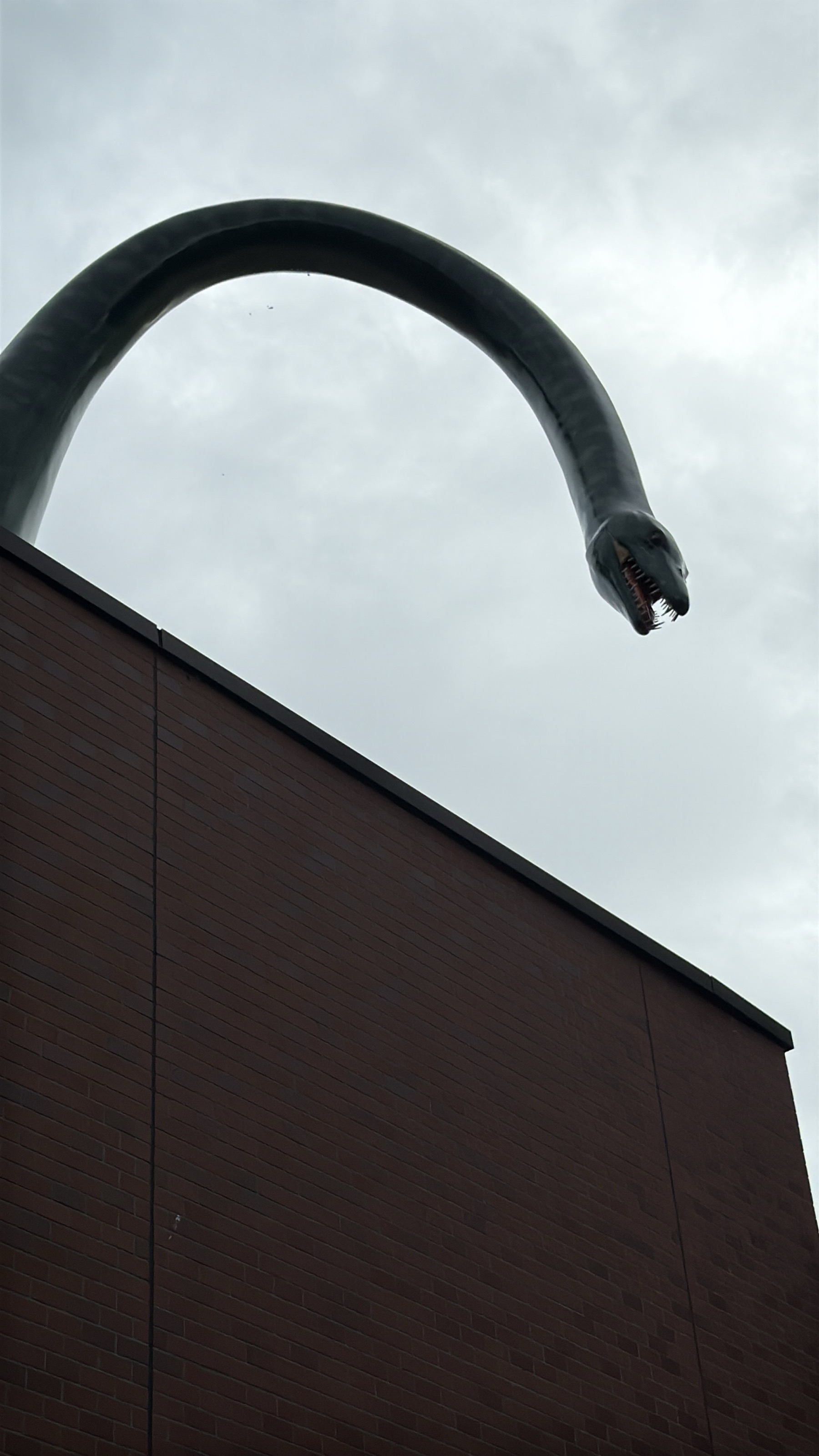 三笠市立博物館の建物の屋根から、長い首と鋭い歯を持つ首長竜（モササウルス系の海生爬虫類）が訪問者を見下ろしている