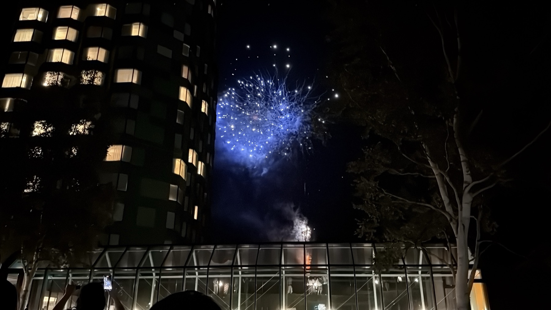 夜のトマム ザ・タワー前で打ち上げられる夏の花火。青い大輪が夜空に広がり、左手にはタワーの窓明かりが縦に並ぶ。手前には観客のシルエットと、ガラス張りの建物が花火を反射している